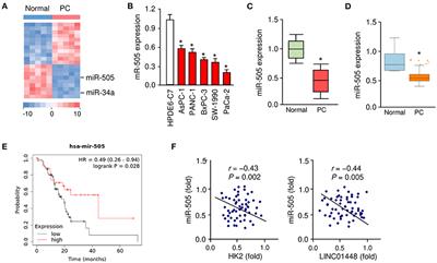 MicroRNA-505, Suppressed by Oncogenic Long Non-coding RNA LINC01448, Acts as a Novel Suppressor of Glycolysis and Tumor Progression Through Inhibiting HK2 Expression in Pancreatic Cancer